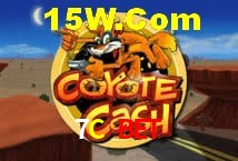 Platform Technology 7C Bet